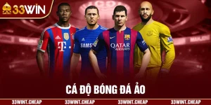 cá độ bóng đá ảo