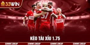 kèo tài xỉu 7.75
