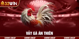 vảy gà án thiên